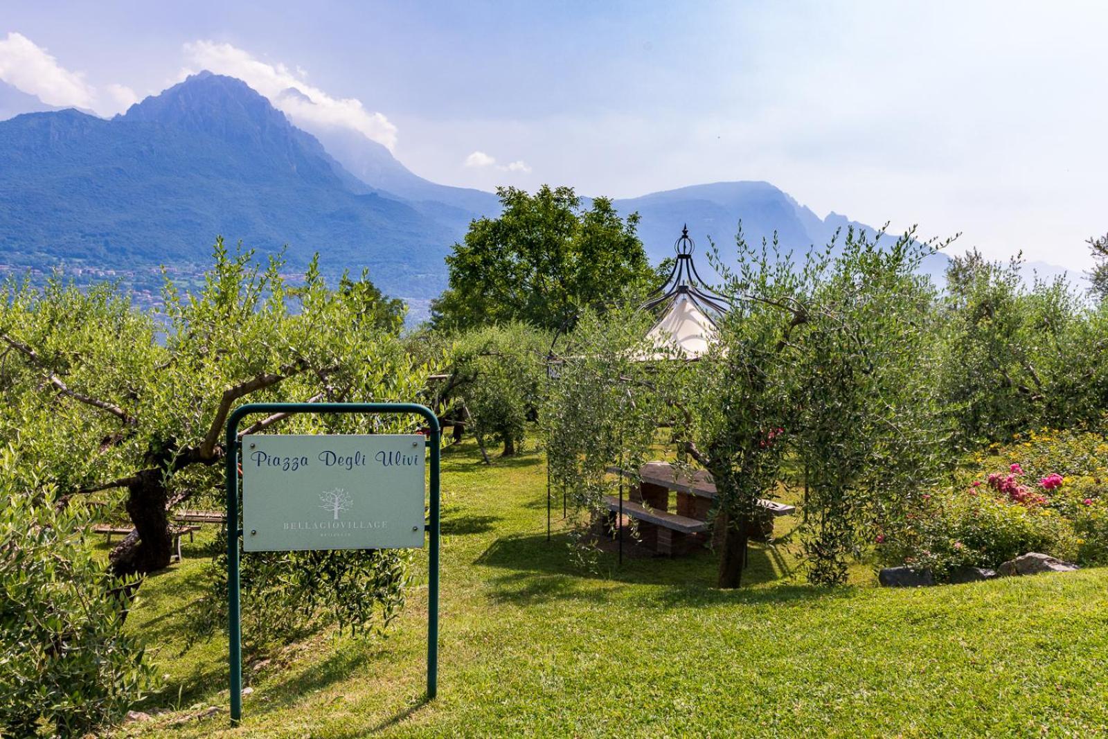 Bellagio Village- 4 Apartments By The Lake - Seasonal Warm Pool And Sauna Oliveto Lario Extérieur photo